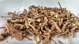 Sarsaparilla Root