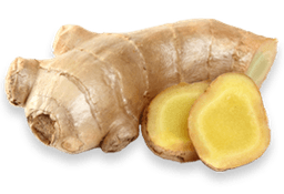 Ginger Root Extract
