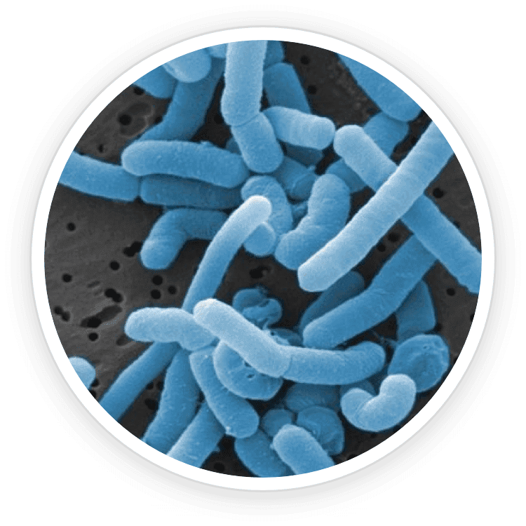 Sam Perkin testimonial