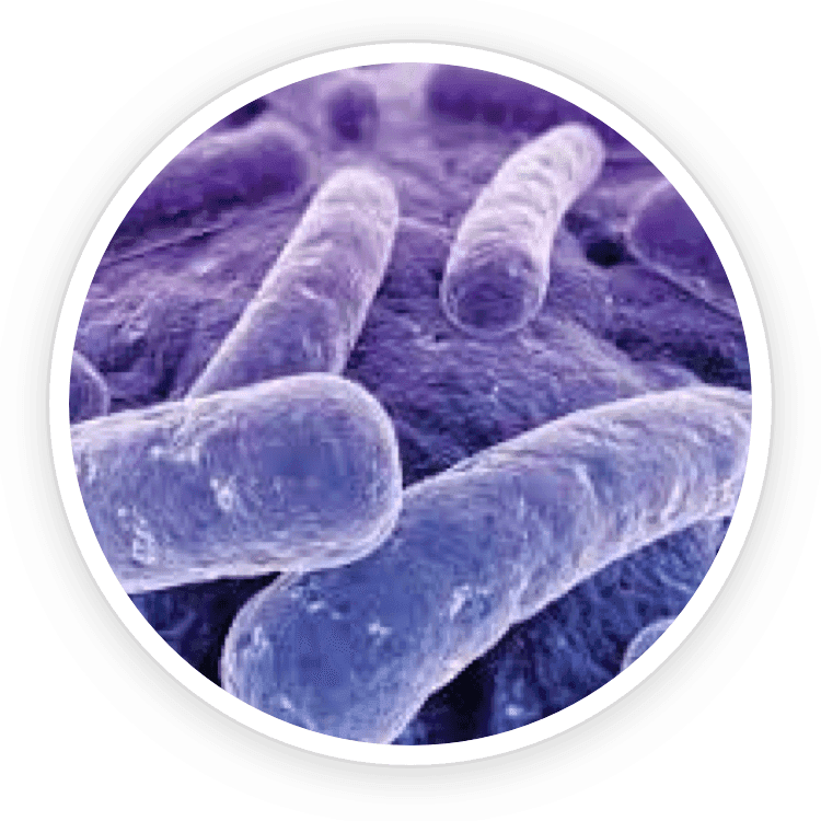 Portia Thompson testimonial