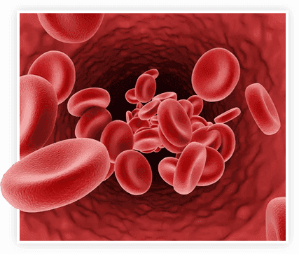 How Prostavive works in the body